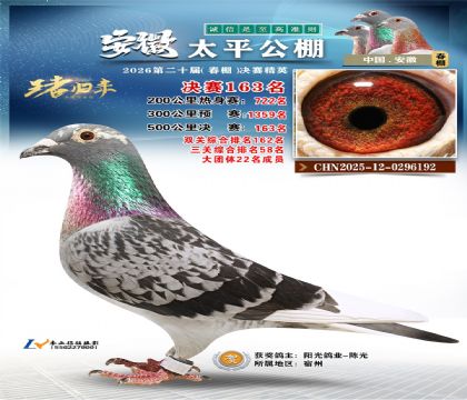 安徽太平决赛163名