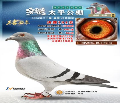 安徽太平决赛164名