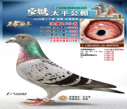 安徽太平决赛165名