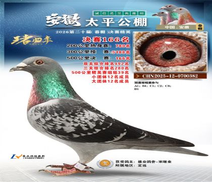 安徽太平决赛166名