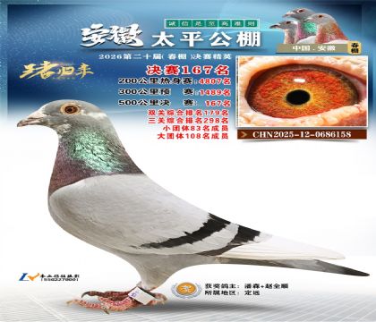 安徽太平决赛167名