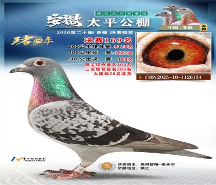 安徽太平决赛169名