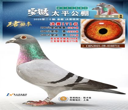 安徽太平决赛171名