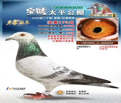 安徽太平决赛172名