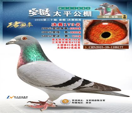 安徽太平决赛173名