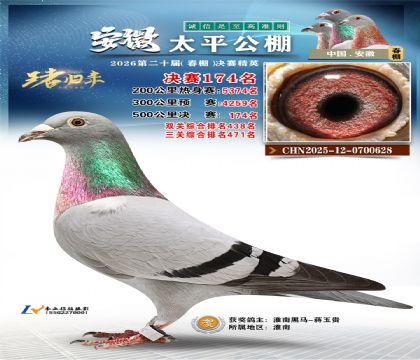 安徽太平决赛174名