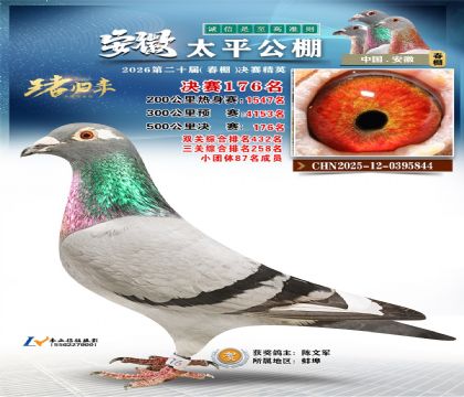 安徽太平决赛176名