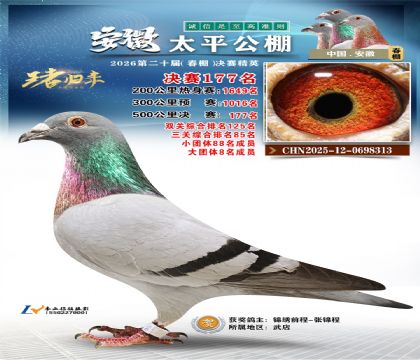 安徽太平决赛177名