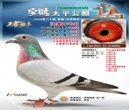 安徽太平决赛178名