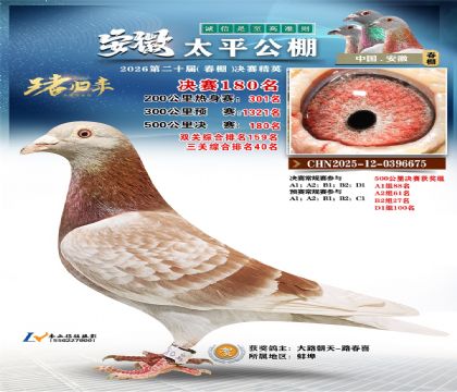 安徽太平决赛180名