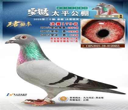 安徽太平决赛179名