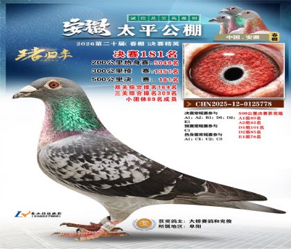 安徽太平决赛181名