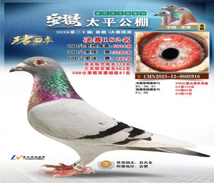 安徽太平决赛182名