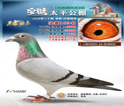 安徽太平决赛183名