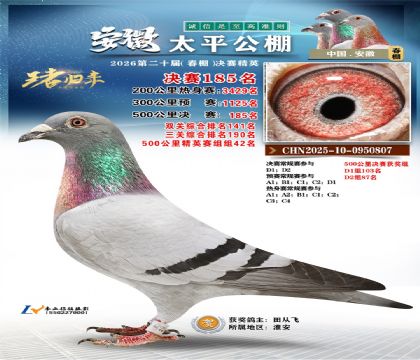 安徽太平决赛185名