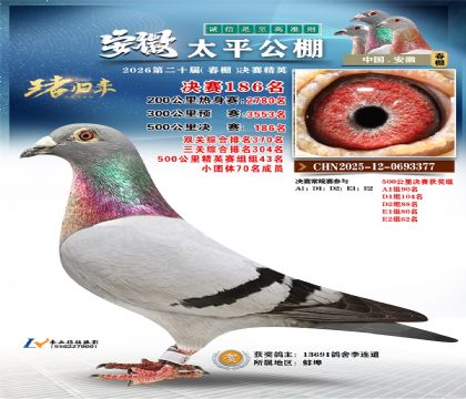 安徽太平决赛186名