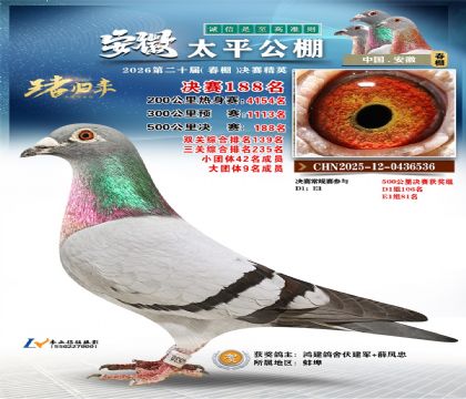 安徽太平决赛188名