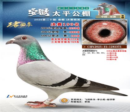 安徽太平决赛190名