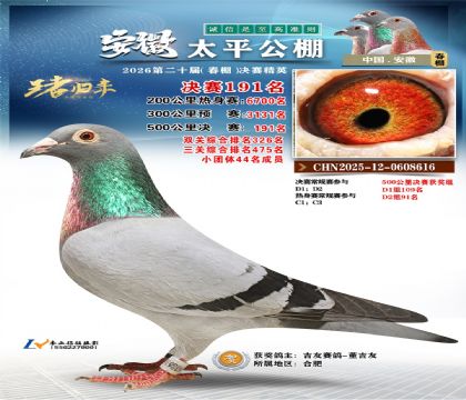 安徽太平决赛191名