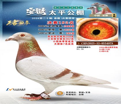 安徽太平决赛192名