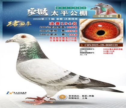 安徽太平决赛194名