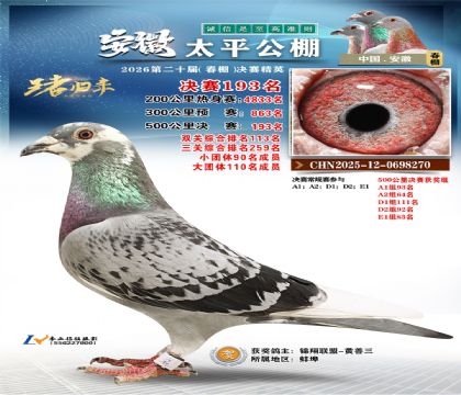 安徽太平决赛193名