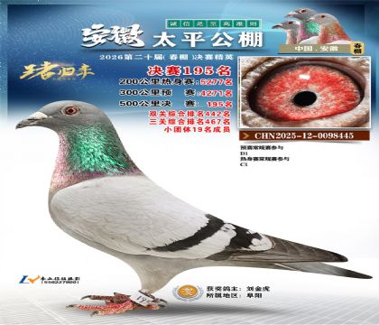 安徽太平决赛195名