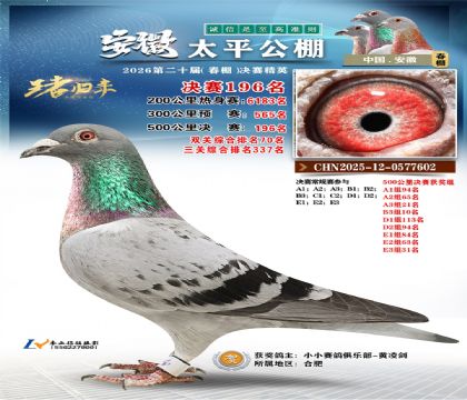 安徽太平决赛196名