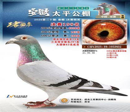 安徽太平决赛198名