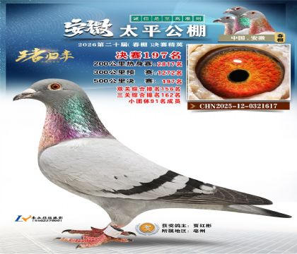 安徽太平决赛197名