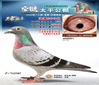 安徽太平决赛200名