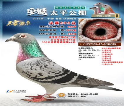 ����̫ƽ����202��