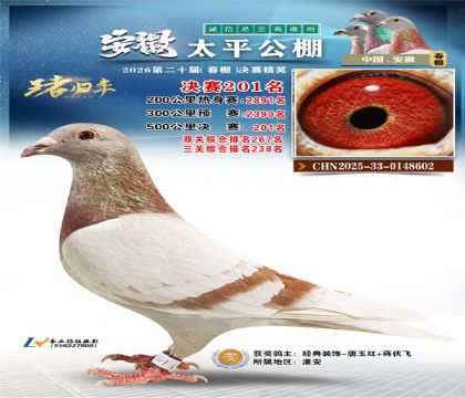 ����̫ƽ����201��