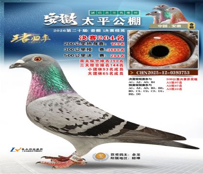 ����̫ƽ����204��