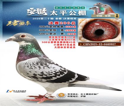 ����̫ƽ����206��