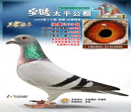 ����̫ƽ����205��