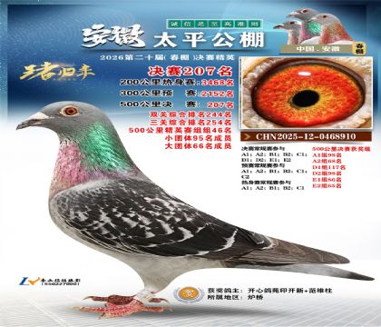 ����̫ƽ����207��