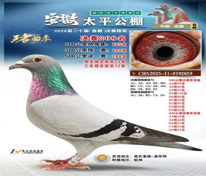 ����̫ƽ����208��