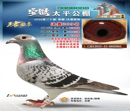 安徽太平决赛209名