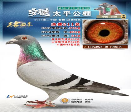 安徽太平决赛211名