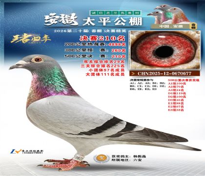 安徽太平决赛210名