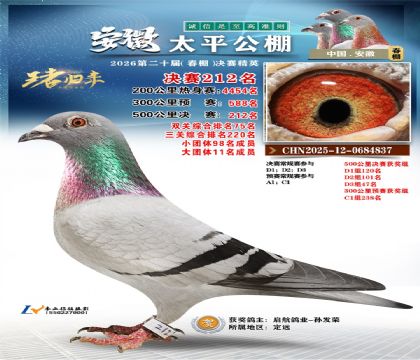 安徽太平决赛212名