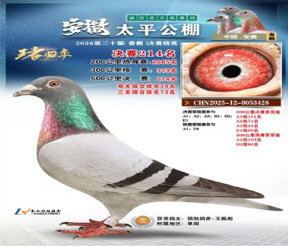 安徽太平决赛214名