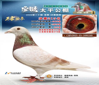 安徽太平决赛215名