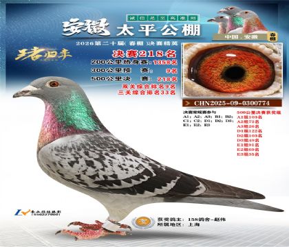 安徽太平决赛218名