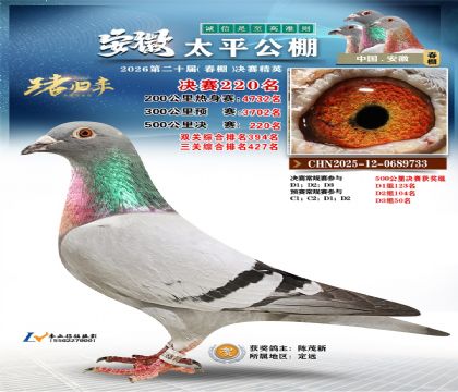 安徽太平决赛220名