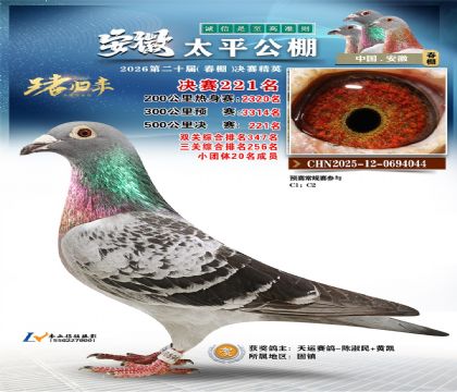 安徽太平决赛221名