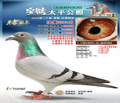 安徽太平决赛222名