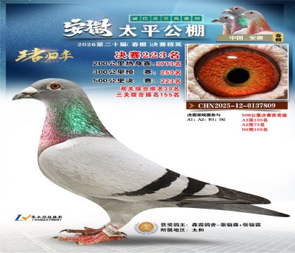 安徽太平决赛223名