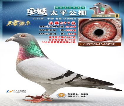 安徽太平决赛227名